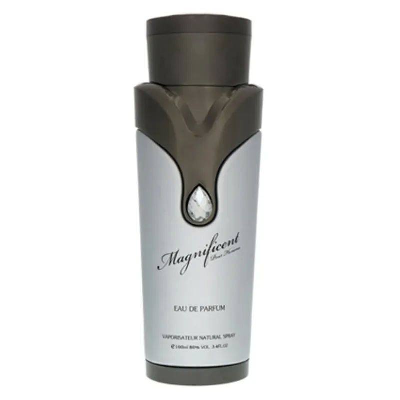 Armaf Magnificent pour Homme EDP 100ml original – VelourHaus Guatemala