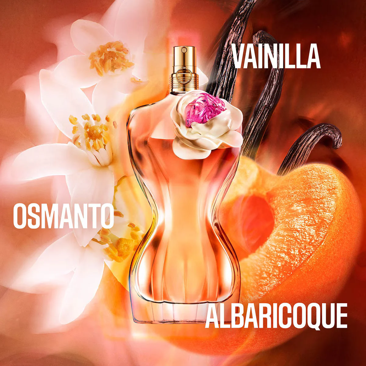 La Belle Flower Edition – Jean Paul Gaultier – Velourhaus Guatemala